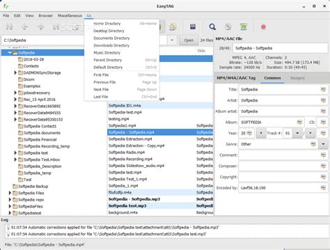 easytag 2.4.3.